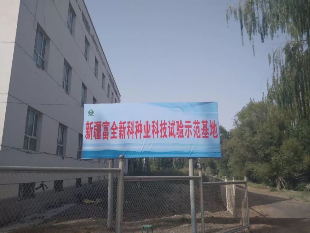 州領導及棉花專家蒞臨富全新科種業(yè)良繁基地觀摩指導工作